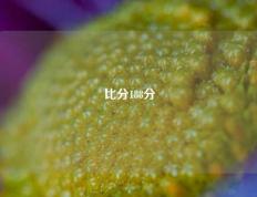 比分188分