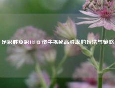 足彩胜负彩18143 佬牛揭秘高胜率的玩法与策略