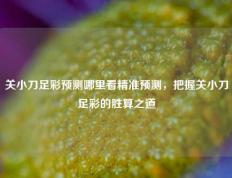 关小刀足彩预测哪里看精准预测，把握关小刀足彩的胜算之道