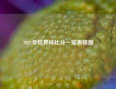 2022年世界杯比分一览表格图
