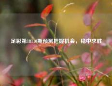 足彩第18110期预测把握机会，稳中求胜