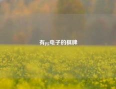 有pg电子的棋牌