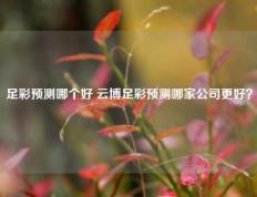 足彩预测哪个好 云博足彩预测哪家公司更好？