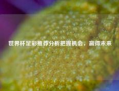 世界杯足彩推荐分析把握机会，赢得未来