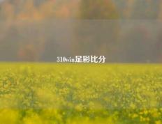 310win足彩比分