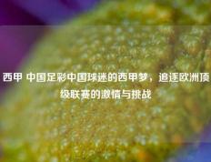 西甲 中国足彩中国球迷的西甲梦，追逐欧洲顶级联赛的激情与挑战