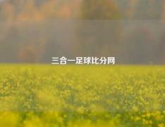 三合一足球比分网