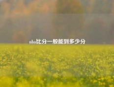 nba比分一般能到多少分