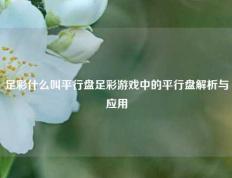 足彩什么叫平行盘足彩游戏中的平行盘解析与应用