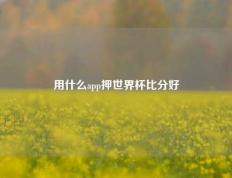 用什么app押世界杯比分好