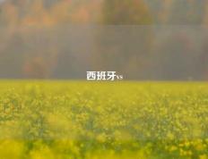 西班牙vs