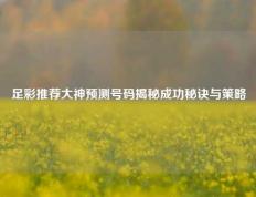 足彩推荐大神预测号码揭秘成功秘诀与策略