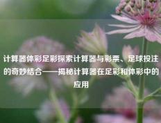 计算器体彩足彩探索计算器与彩票、足球投注的奇妙结合——揭秘计算器在足彩和体彩中的应用