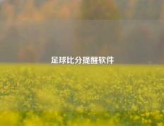 足球比分提醒软件