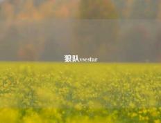 狼队vsestar