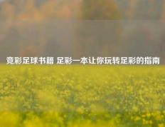 竞彩足球书籍 足彩一本让你玩转足彩的指南