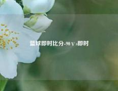 篮球即时比分-90ⅴs即时