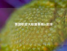 美国职业大联盟赛程ds足球
