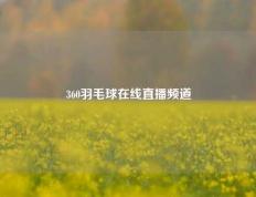 360羽毛球在线直播频道