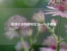 篮球比分网即时比分一一手机版