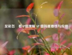 足彩怎麼看SP值理解 SP 值的重要性与应用
