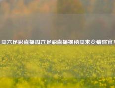 周六足彩直播周六足彩直播揭秘周末竞猜盛宴！