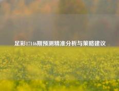 足彩17146期预测精准分析与策略建议