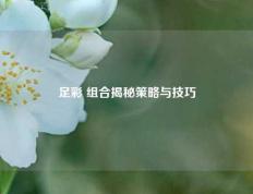 足彩 组合揭秘策略与技巧