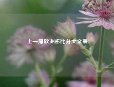 上一届欧洲杯比分大全表