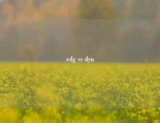edg vs dyu