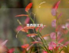 墨西联比分