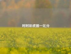 时时彩虎图一比分