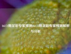 16172期足彩专家预测16172期足彩专家预测解析与分析