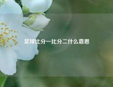 足球比分一比分二什么意思