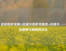 足彩哈萨克斯VS安道尔哈萨克斯坦vs安道尔 - 一场激情与策略的对决