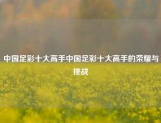 中国足彩十大高手中国足彩十大高手的荣耀与挑战