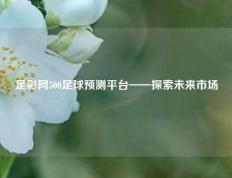 足彩网500足球预测平台——探索未来市场