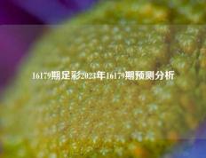 16179期足彩2023年16179期预测分析