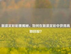 新浪足彩彩票揭秘，如何在新浪足彩中获得高额回报？