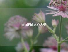 2018足球比分大奖