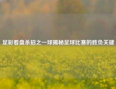 足彩看盘杀招之一球揭秘足球比赛的胜负关键