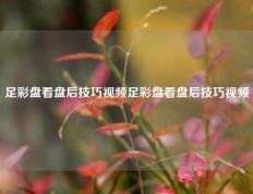 足彩盘看盘后技巧视频足彩盘看盘后技巧视频