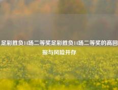 足彩胜负14场二等奖足彩胜负14场二等奖的高回报与风险并存