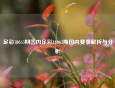 足彩18063期国内足彩18063期国内赛事解析与分析