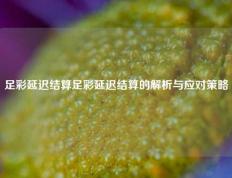 足彩延迟结算足彩延迟结算的解析与应对策略