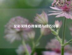 足彩买球心得策略与技巧分享