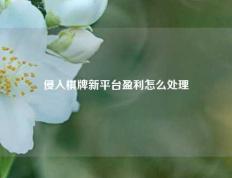 侵入棋牌新平台盈利怎么处理