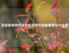足彩赔率研究足彩赔率研究的重要性与方法论