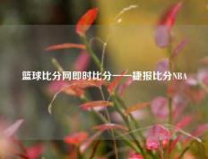 篮球比分网即时比分一一捷报比分NBA