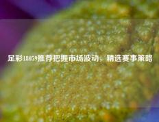 足彩18059推荐把握市场波动，精选赛事策略